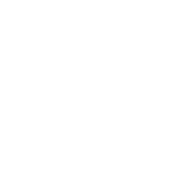 大急ぎアイコン
